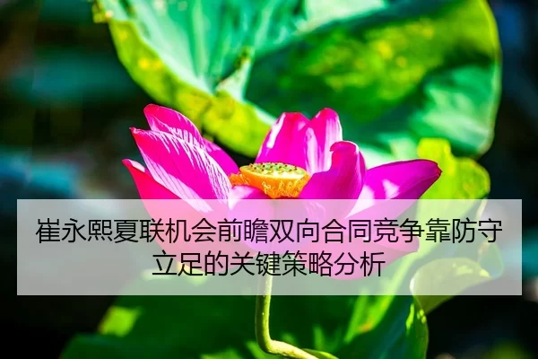 崔永熙夏联机会前瞻双向合同竞争靠防守立足的关键策略分析