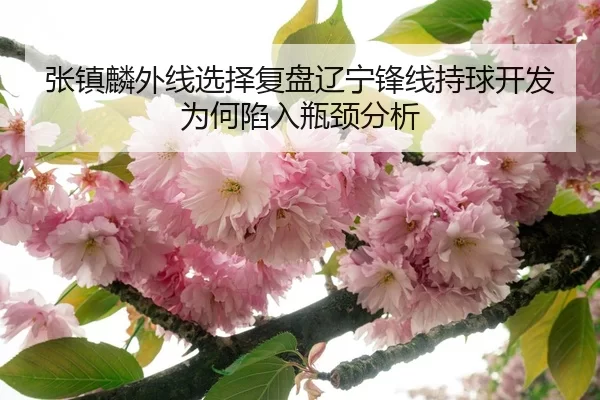 张镇麟外线选择复盘辽宁锋线持球开发为何陷入瓶颈分析