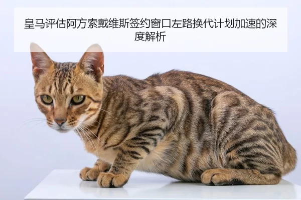 皇马评估阿方索戴维斯签约窗口左路换代计划加速的深度解析