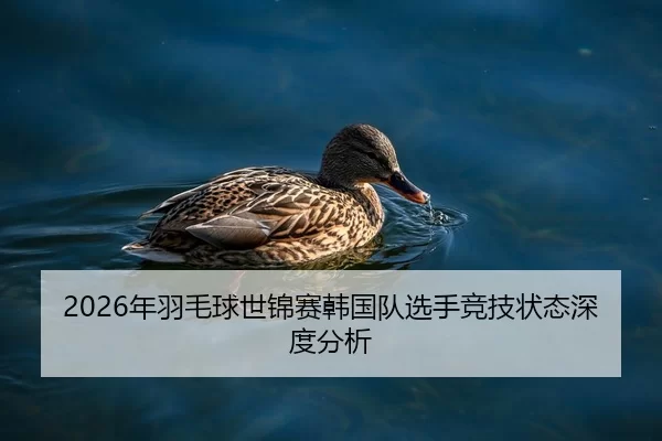 2026年羽毛球世锦赛韩国队选手竞技状态深度分析