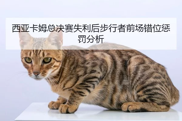 xi-ya-ka-mu-zong-jue-sai-shi-li-hou-bu-xing-zhe-qian-chang-cuo-wei-cheng-fa-fen-xi-2-788.jpg