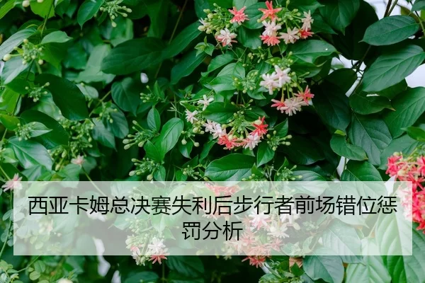 西亚卡姆总决赛失利后步行者前场错位惩罚分析